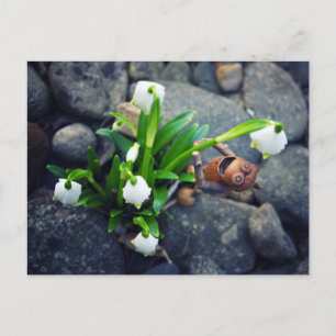 Acorn elf with snowflake flower spring postcard postkarte