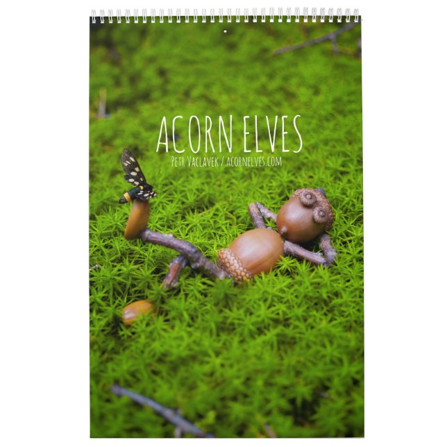 Acorn Elves / Dubanci Foto Kalender (Titelbild)