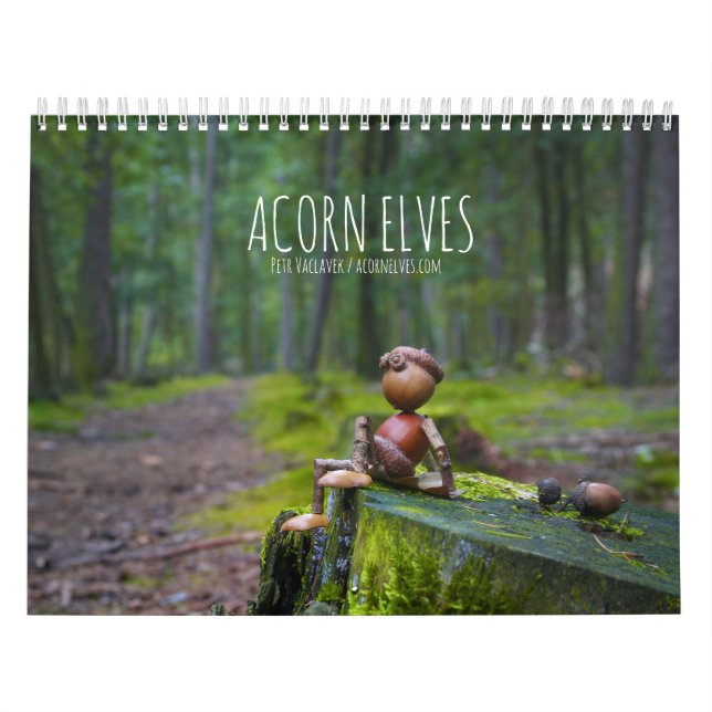 Acorn Elves / Dubanci Foto Kalender (Titelbild)