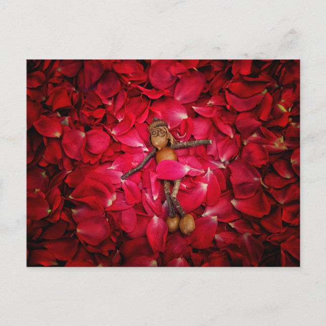 Acorn Elves Schönheit in Rose Postkarte (Vorderseite)