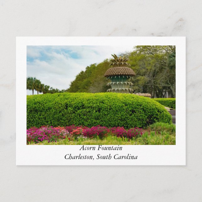 Acorn Fountain in Charleston South Carolina Postkarte (Vorderseite)