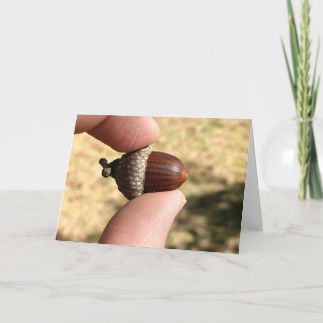Acorn Karte (Vorderseite)