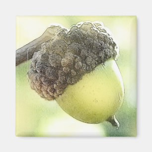 Acorn Magnet