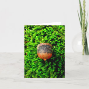 Acorn & Moss Notecard Karte