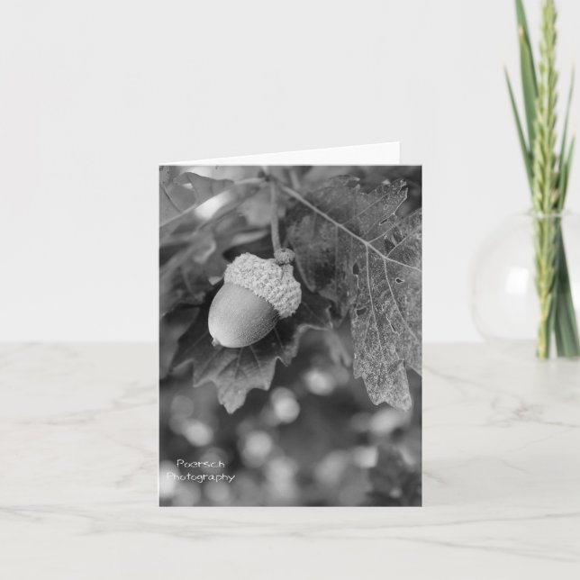 Acorn Note Card Karte (Vorderseite)