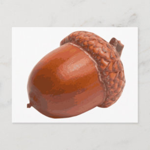 acorn.png postkarte