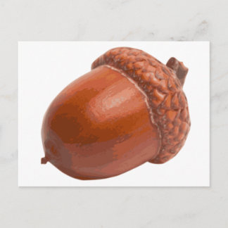 acorn.png postkarte