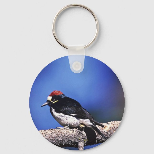 Acorn Woodpecker Schlüsselanhänger (Vorderseite)