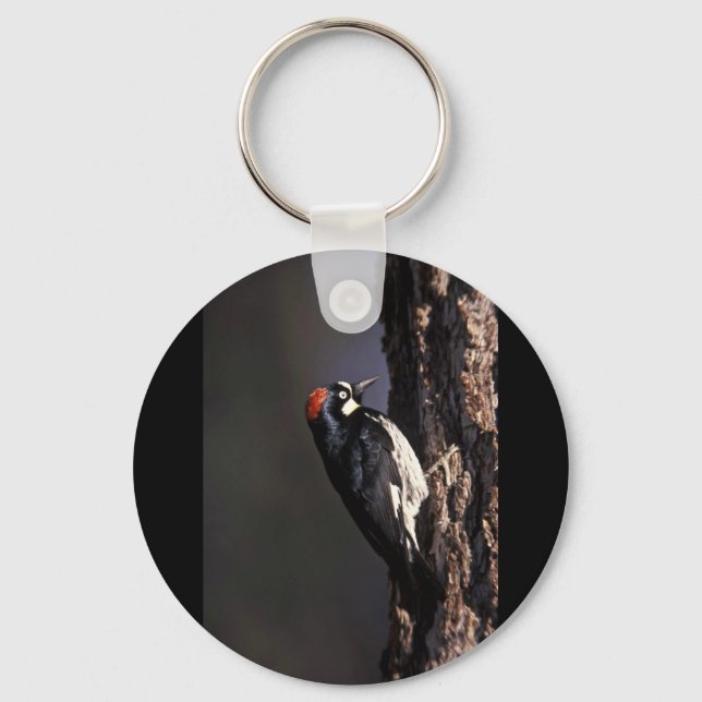 Acorn Woodpecker Schlüsselanhänger (Vorderseite)