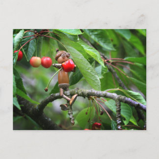 Acornelf frisst Kirschen im Baumsommer Postkarte
