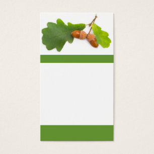 Acorns