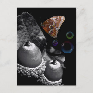 Acorns Butterfly und Blasen Postkarte