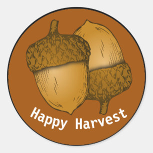 Acorns Classic Round Stickers