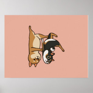 Acroyoga Shiba Inu Niedlich Shiba Inu Yoga Liebh Poster