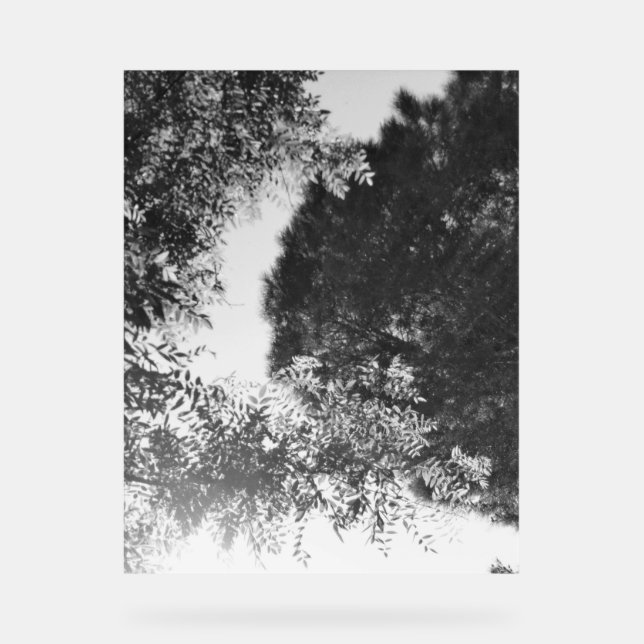 Acryl-Schild  Acrylschild (Vorderseite)