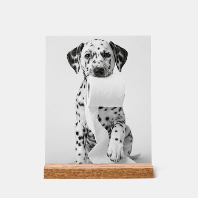 Acryl-Schild Acrylschild (Vorderseite)