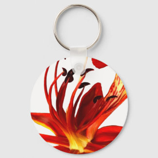 Acryl-Schlüsselanhänger Royal Poinciana-Blüte Schlüsselanhänger