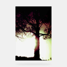 ACRYLIC SIGN COOL ÖKO DESIGN STYLE