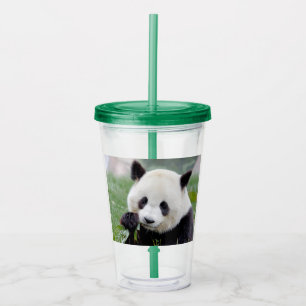 Acrylique Verre en acrylique. Panda géant photo, panda gente