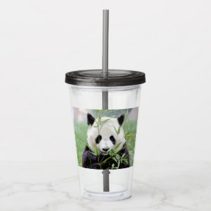 Acrylique Verre en acrylique. Panda géant photo, panda gente