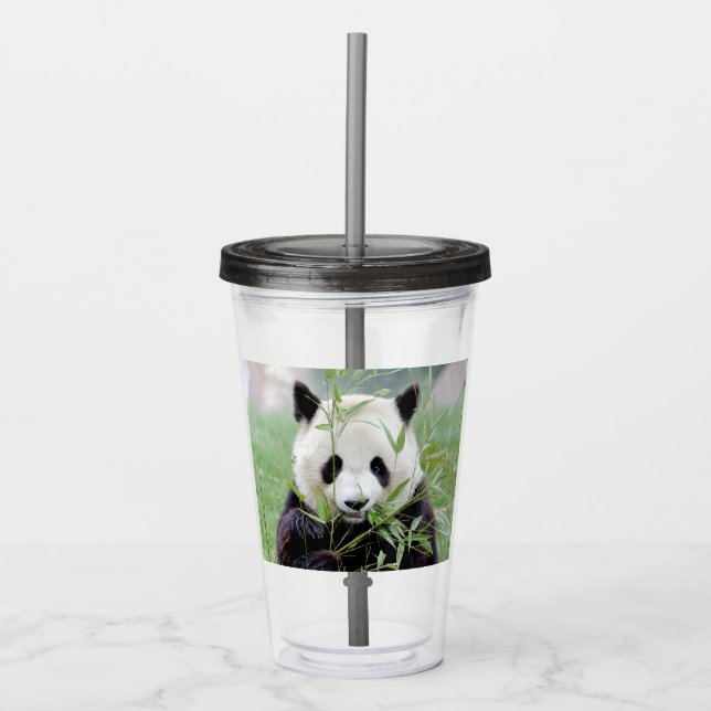 Acrylique Verre en acrylique. Panda géant photo, panda gente (Devant)