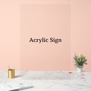  ACRYLSCHILD