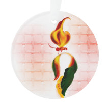 Acrylschmuck