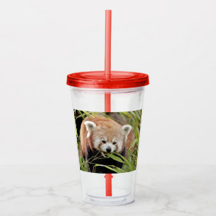 Acryltrinkbecher. Foto roter Panda, Panda roux. Acryltrinkbecher