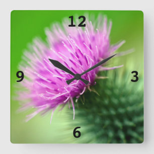 Acrylwanduhr der lila Distel-Blume Quadratische Wanduhr