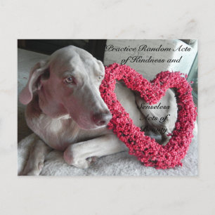 Actes aléatoires de gentillesse Carte postale - Pl