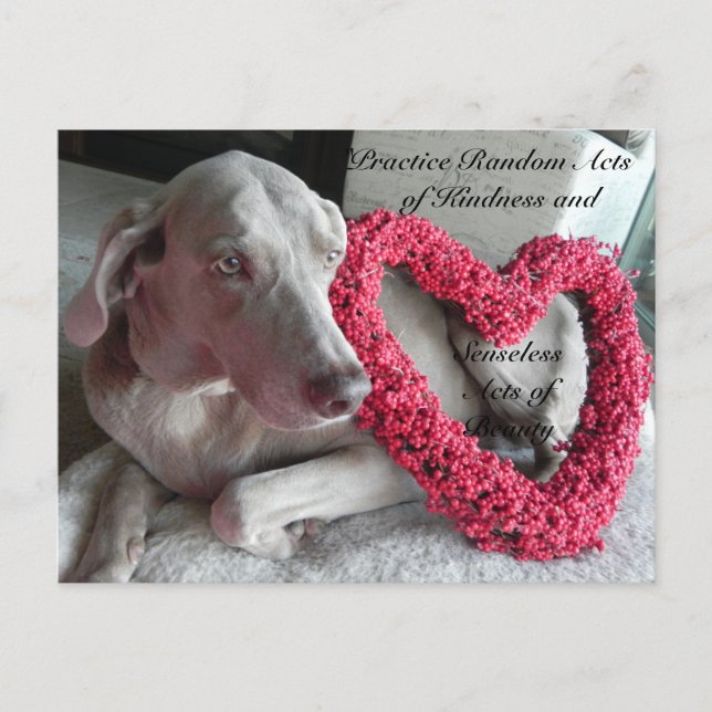 Actes aléatoires de gentillesse Carte postale - Pl (Devant)