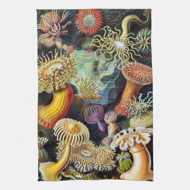 Actiniae von Ernst Haeckel Küchentuch (Vertikal)