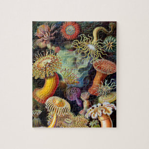 Actiniae von Ernst Haeckel Puzzle