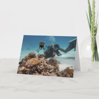 Action Cats! Card Karte