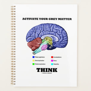 Activer votre matière grise Penser Cerveau anatomi