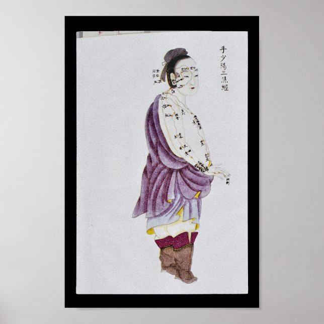 Acupunction Triple Burner Meridian Hand Shaoyang Poster (Vorne)