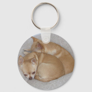 AD-Chihuahua-Schlüsselanhänger Schlüsselanhänger