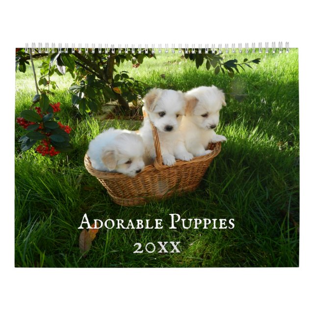Adable Puppies Personalisiert Calendar Kalender (Rückseite)