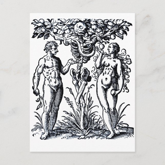Adam and Eve and the Tree of Knowledge Postcard Postkarte (Vorderseite)