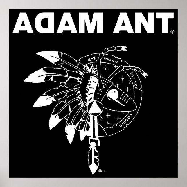 Adam und die Ameisen Poster (Vorne)