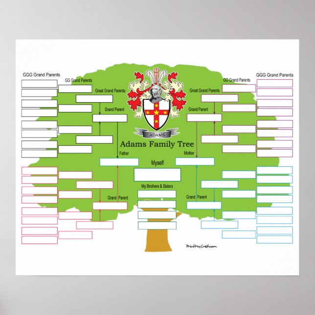 Adams Family Tree Poster (Vorne)