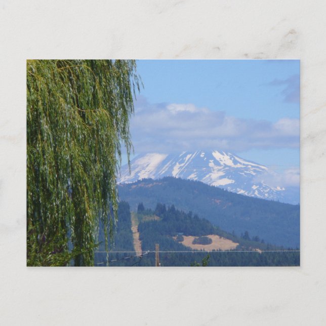 Adams Postkarte (Vorderseite)
