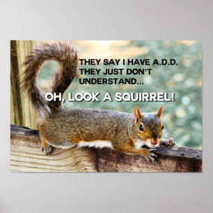 ADD Eichhörnchen-Foto Poster