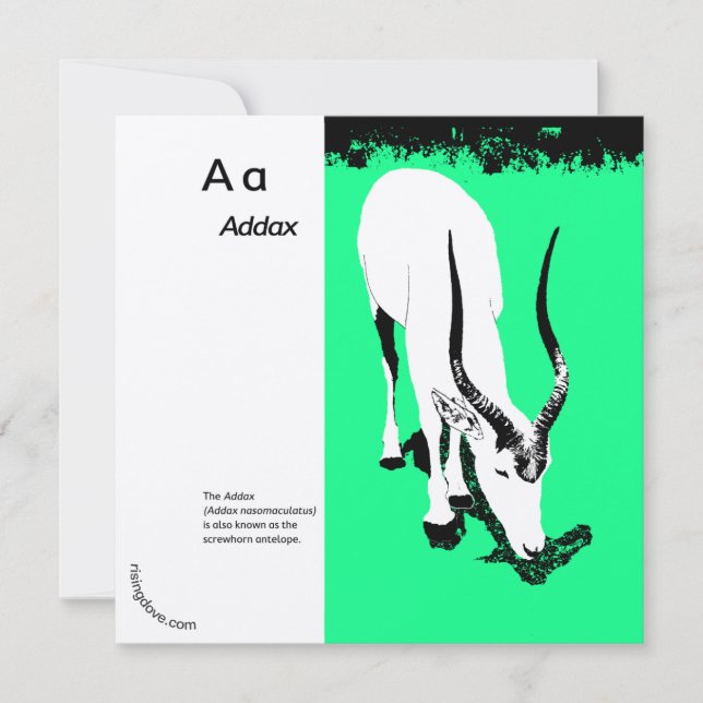 Addax/Oryx ~ Miriam Kilmer, gerecycelt Inhalt (Vorderseite)