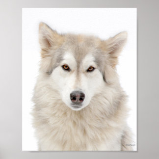 Addie von der A Street Poster