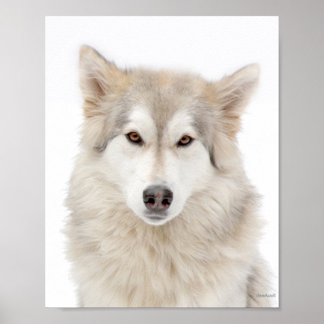 Addie von der A Street Poster (Vorne)