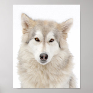 Addie von der A Street Poster