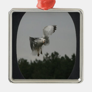 Addieren Sie Foto-großes ovales Feld (Schwarzes) Ornament Aus Metall