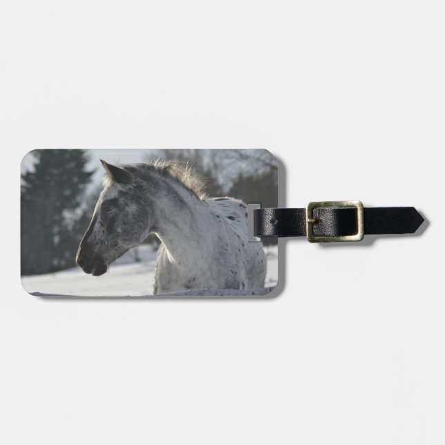 Addieren Sie Ihren eigenen Gepäckanhänger (Vorderseite horizontal)