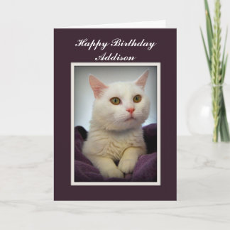 Addison Joyeux Anniversaire Carte Chat Blanc